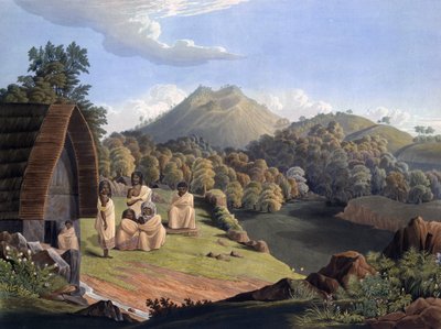 Plate 5 from Richard Barron